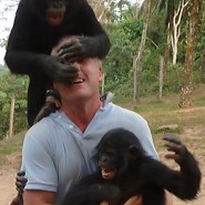 Lola ya Bonobo, Kinshasa, Democratic Republic of Congo
