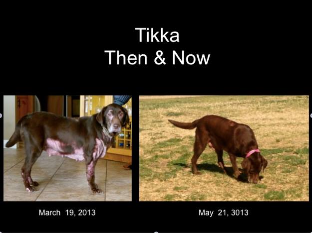 Tikka Then & Now